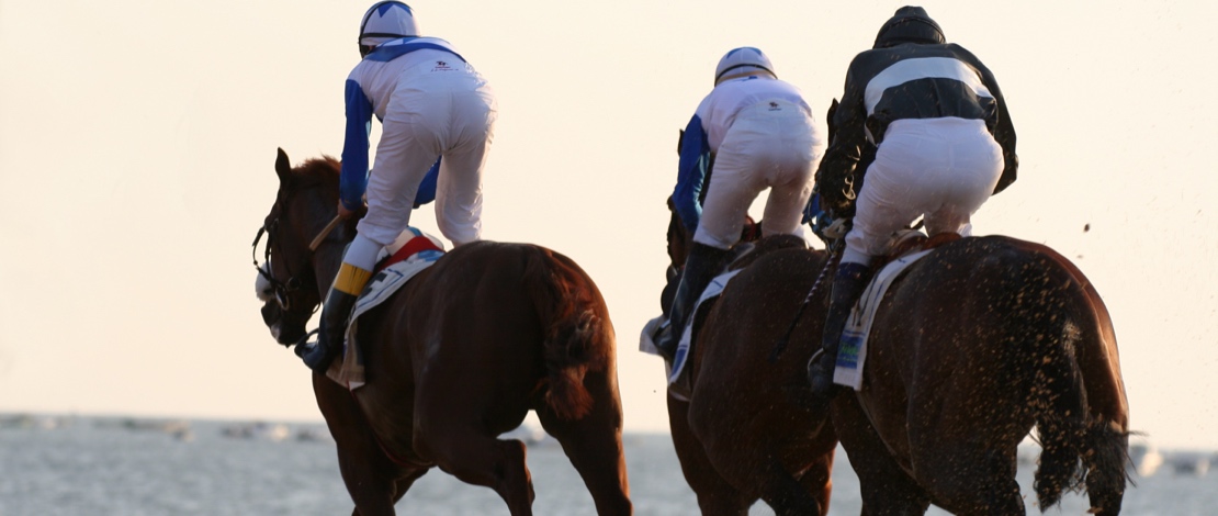 سباق الخيل في سان لوكار دي باراميدا، قادس سباق الخيل في سان لوكار دي باراميدا، قادس