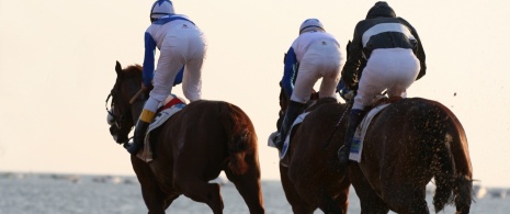 سباق الخيل في سان لوكار دي باراميدا، قادس سباق الخيل في سان لوكار دي باراميدا، قادس