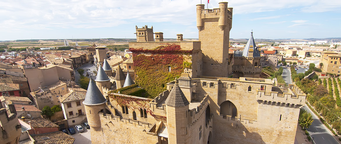 Olite Castle, Navarra