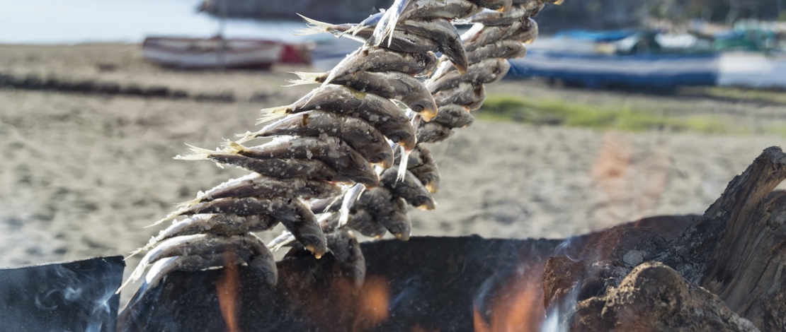 سفافيد السردين