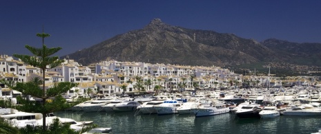 Puerto Banus in Marbella Puerto Banus in Marbella