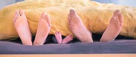 Feet of a family sticking out of a bed Feet of a family sticking out of a bed