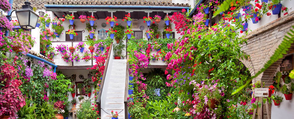 Cortile con fiori a Cordova