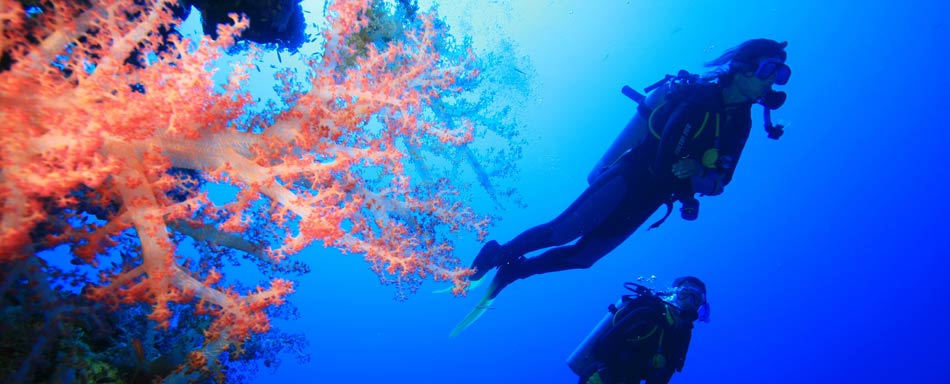 Actividad de buceo Actividad de buceo