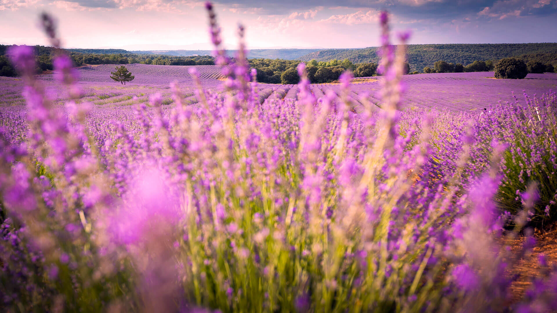 Spain in relaxation mode: perfect destinations to unwind
