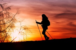 Silhouette of a pilgrim at sunset