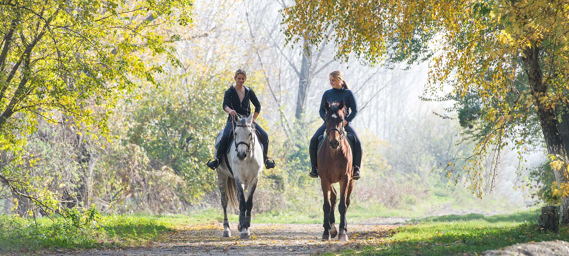 Mädchen zu Pferd
