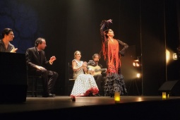 Spettacolo di flamenco nel Teatro Flamenco di Madrid