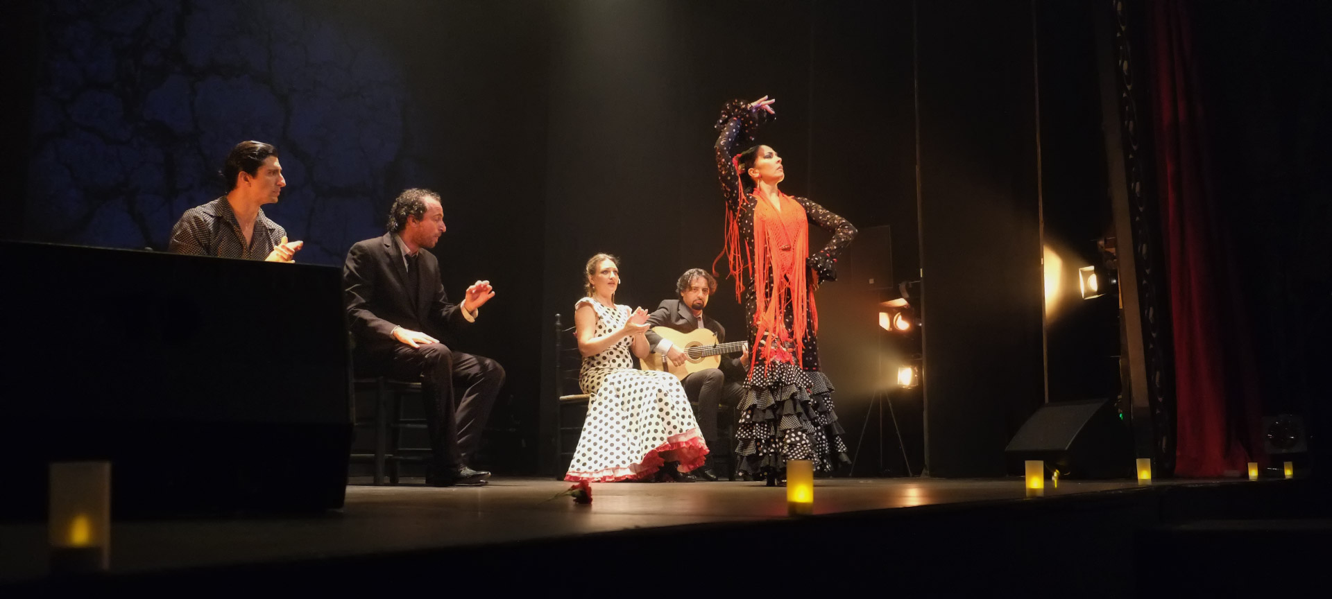  Spettacolo di flamenco nel Teatro Flamenco di Madrid