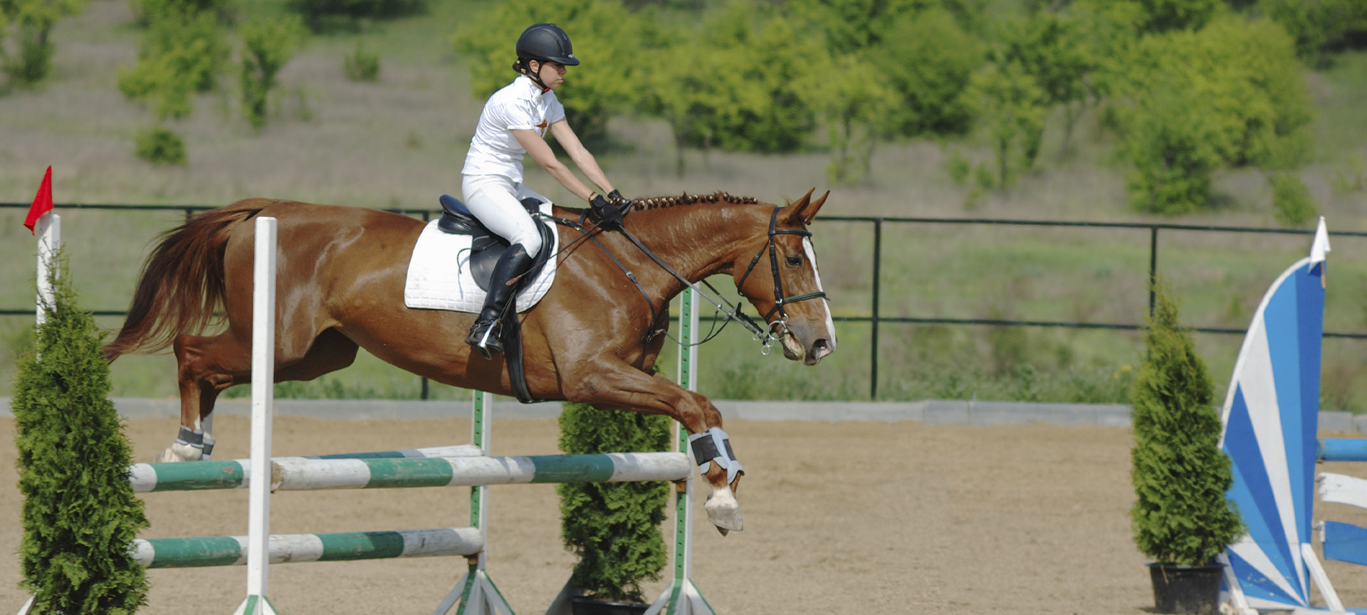 Equestrianism