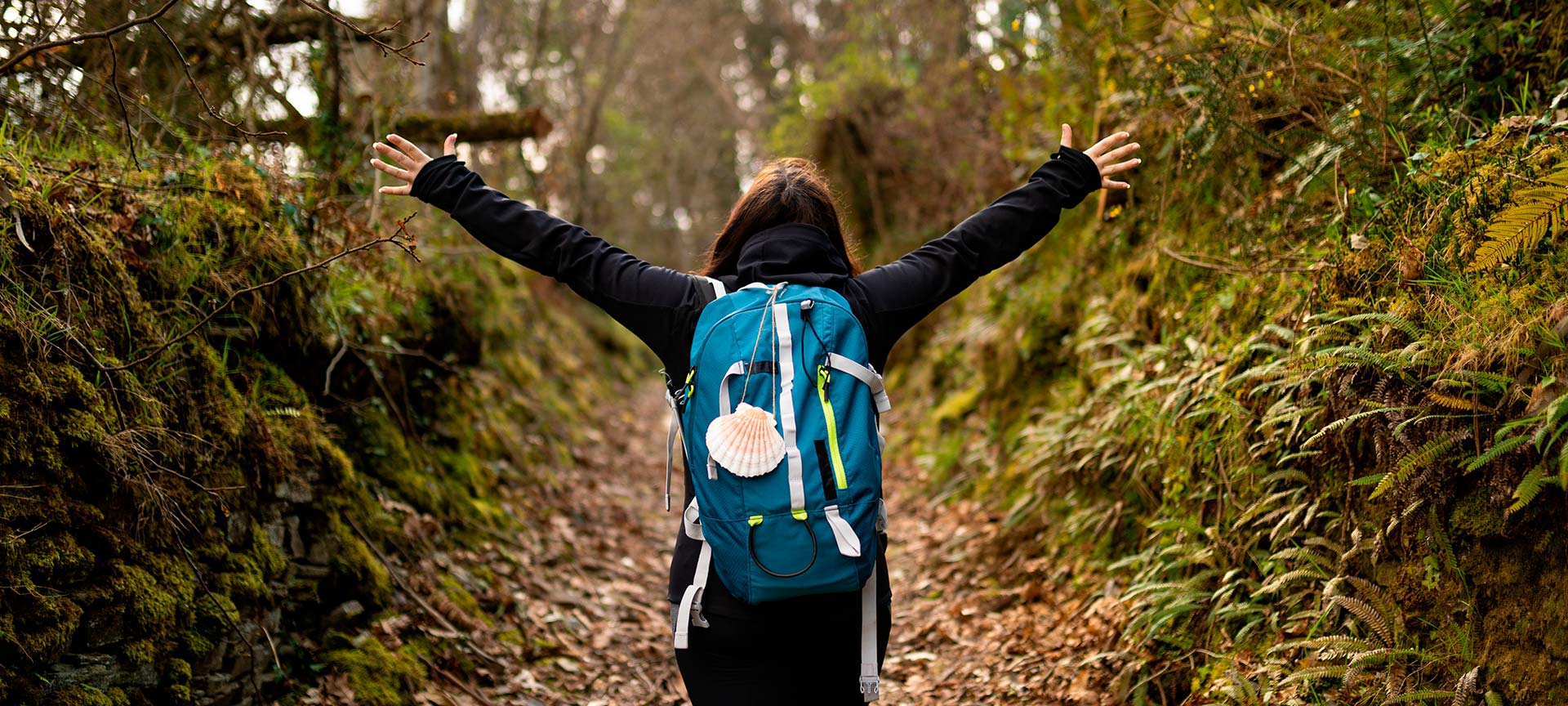 Peregrino recorriendo el Camino de Santiago