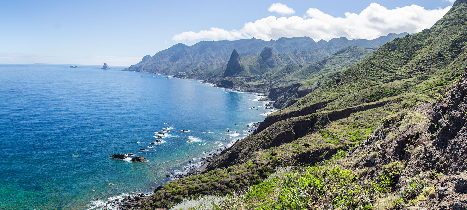 Coast of Tenerife