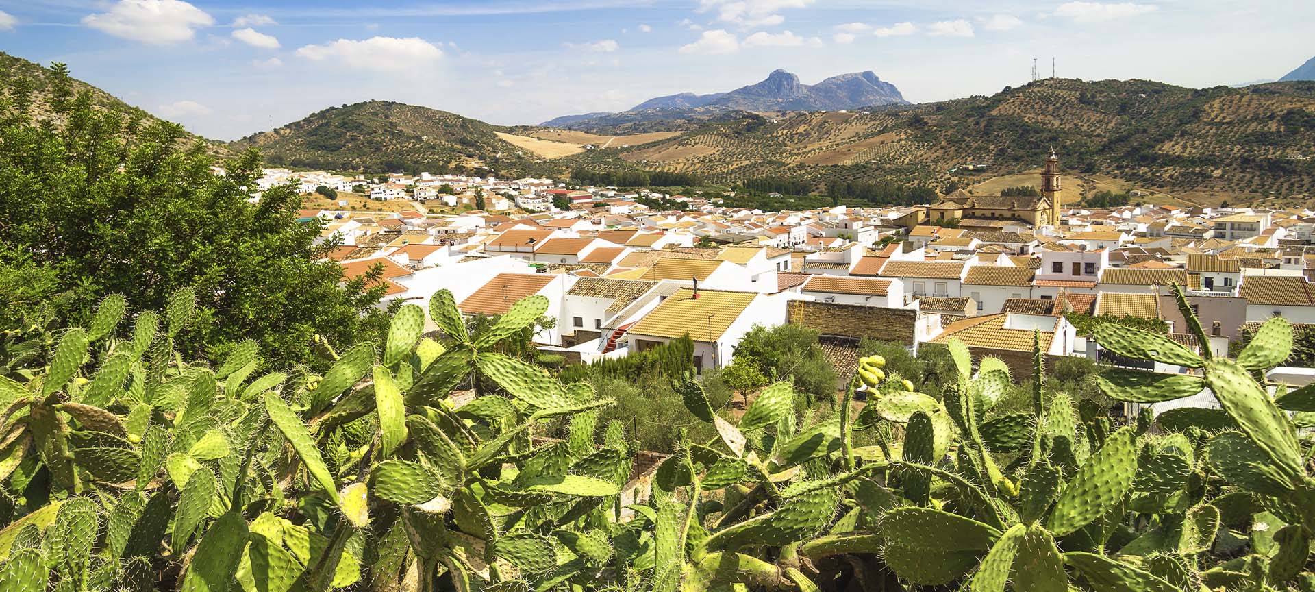 Panoramic view of Algodonales (Cadiz, Andalusia)