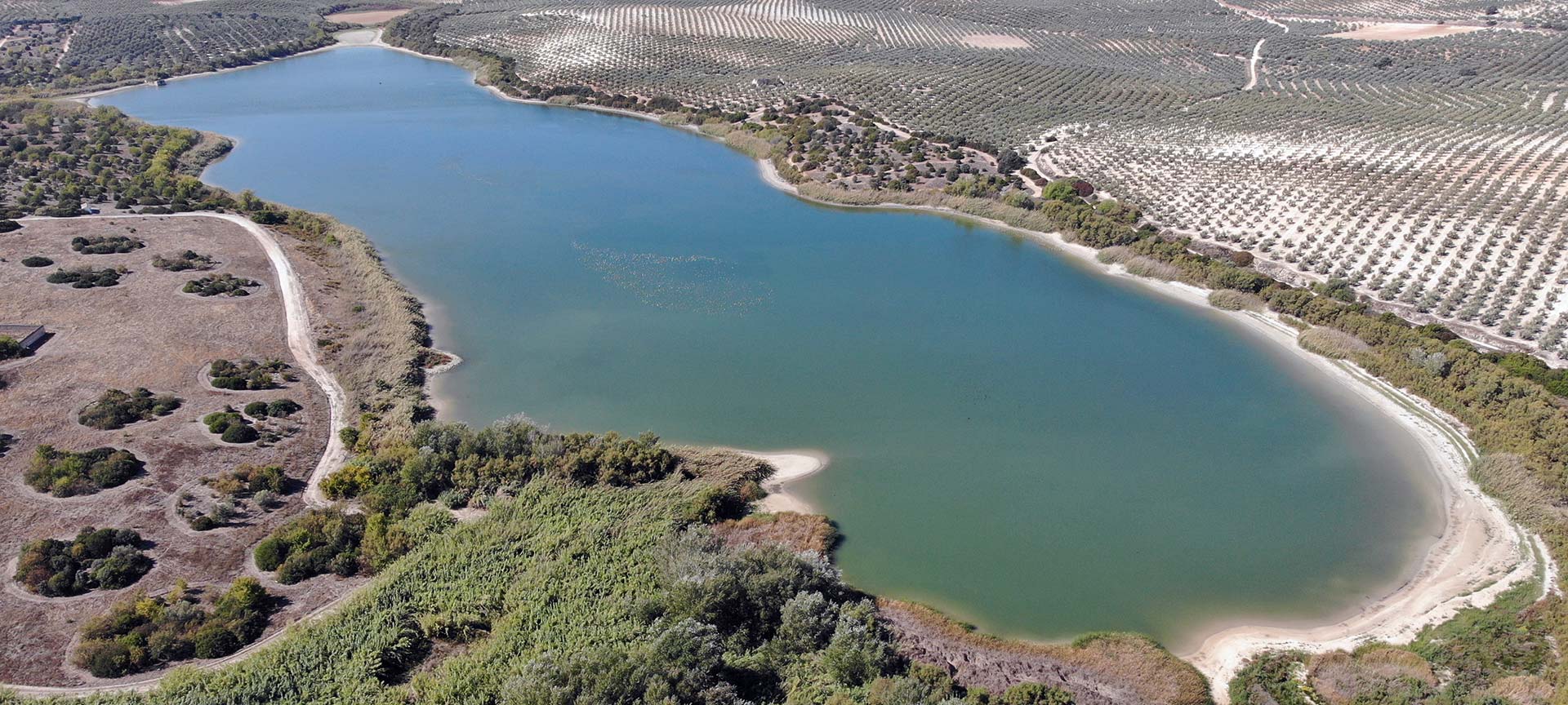 Laguna Zóñar. Obszar chronionego krajobrazu Lagunas del Sur de Córdoba