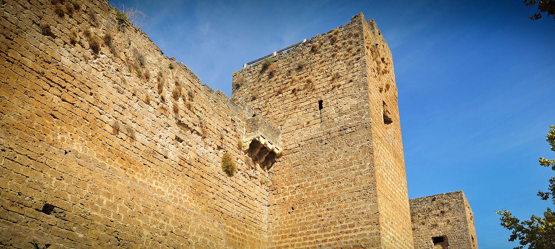 Priego de Córdoba Castle