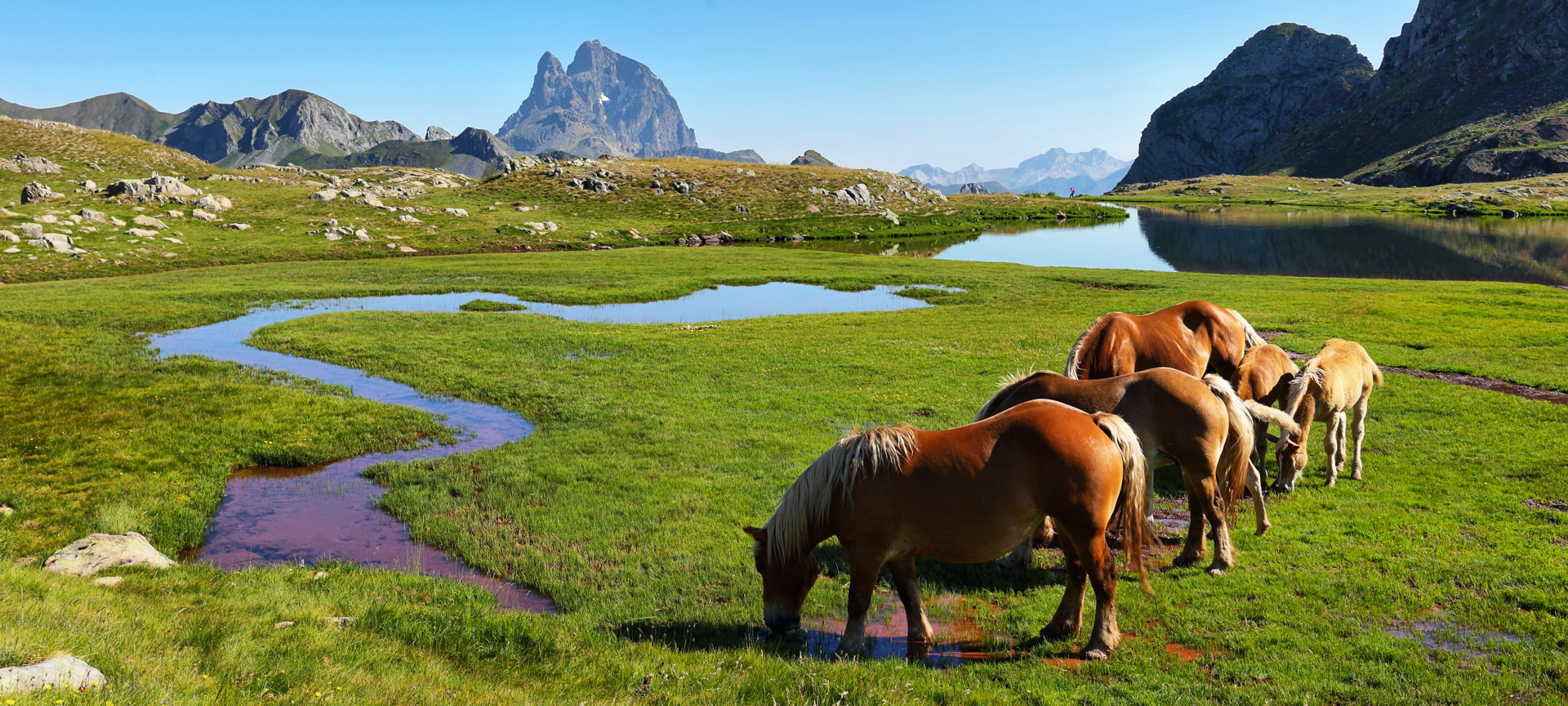 Des chevaux dans l'ibón d’Anayet, entre Canfranc et Formigal, Huesca