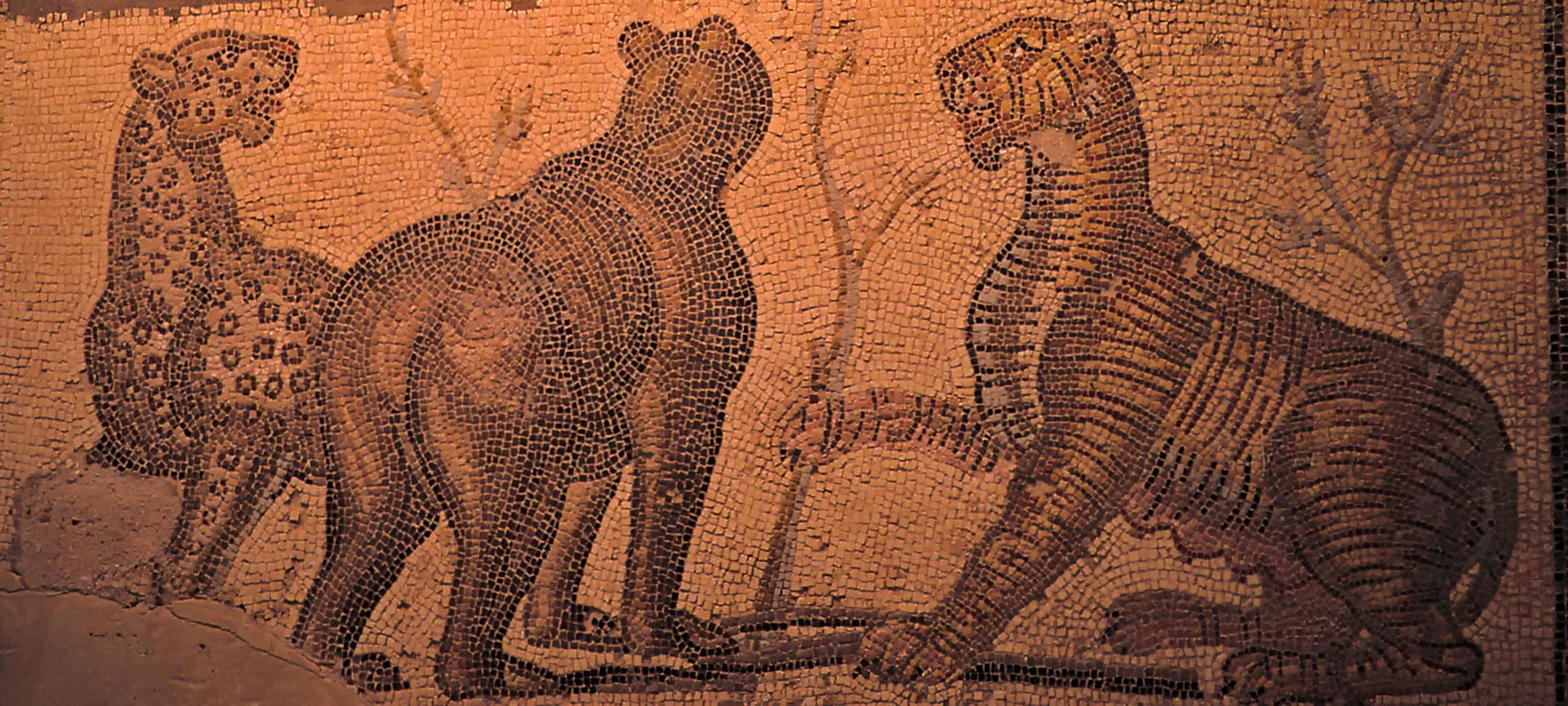 Roman mosaic in the Museum of Zaragoza