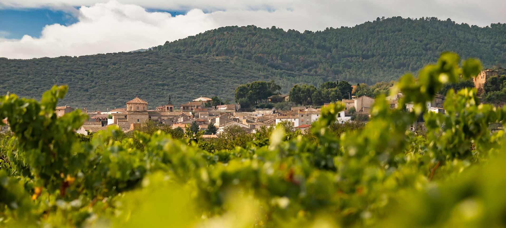 Route du vin Campo de Cariñena