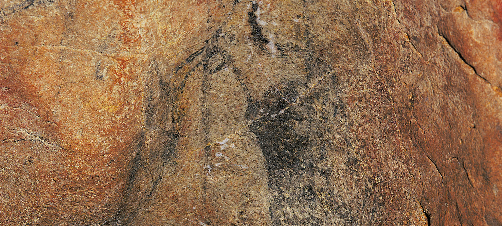 Cueva de Llonin, pintura rupestre. Asturias.