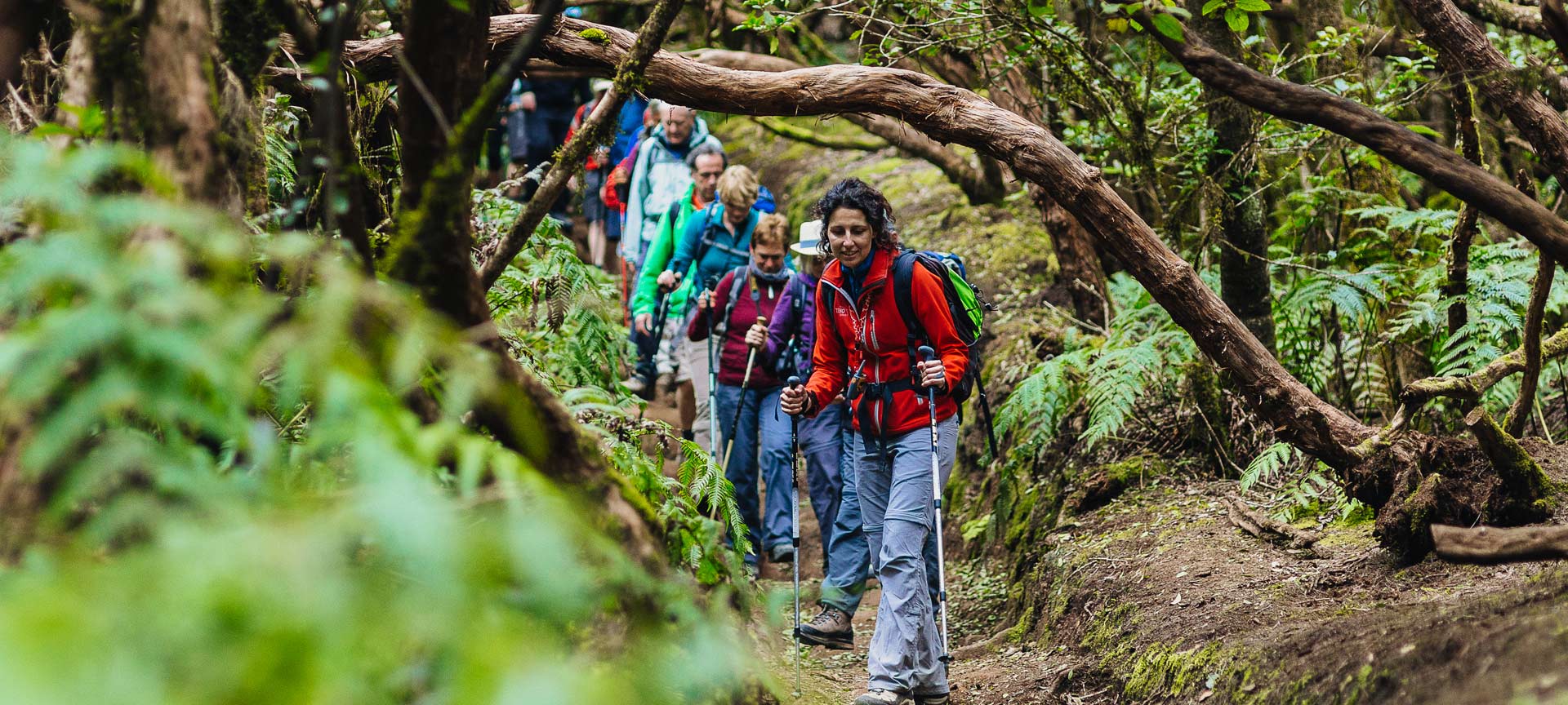 Wandern im Lorbeerwald