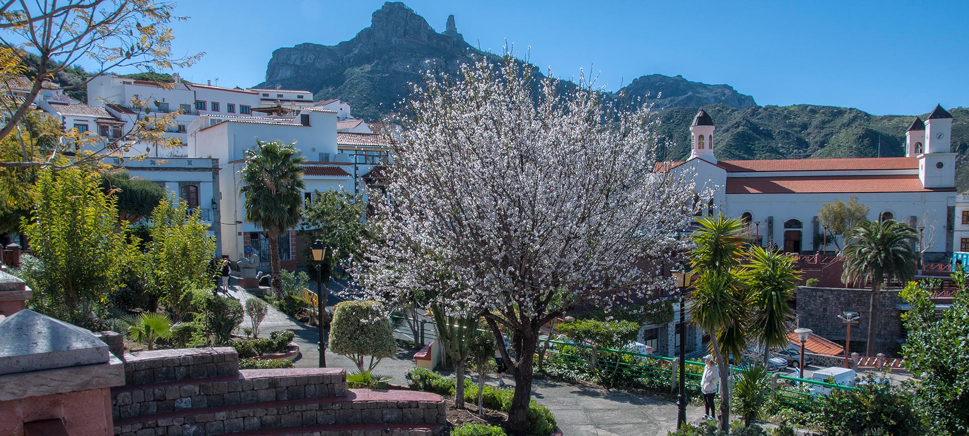 Blühende Mandelbäume in Tejeda, Gran Canaria