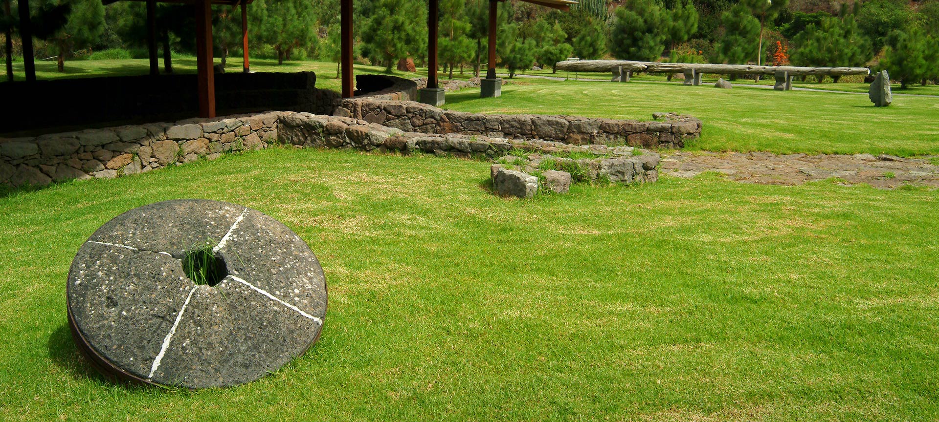 Jardín Botánico de Viera y Clavijo
