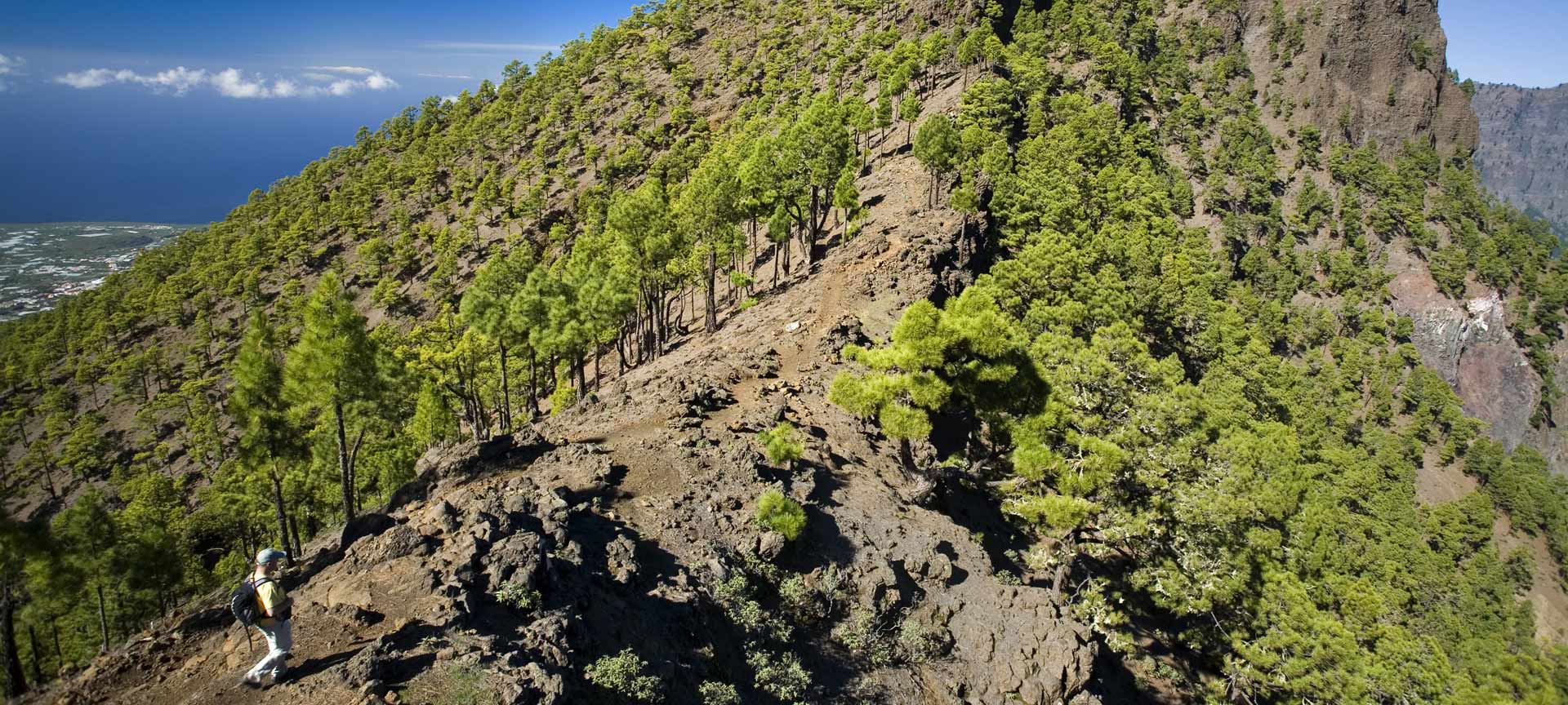 Parque Nacional de la Caldera de Taburiente