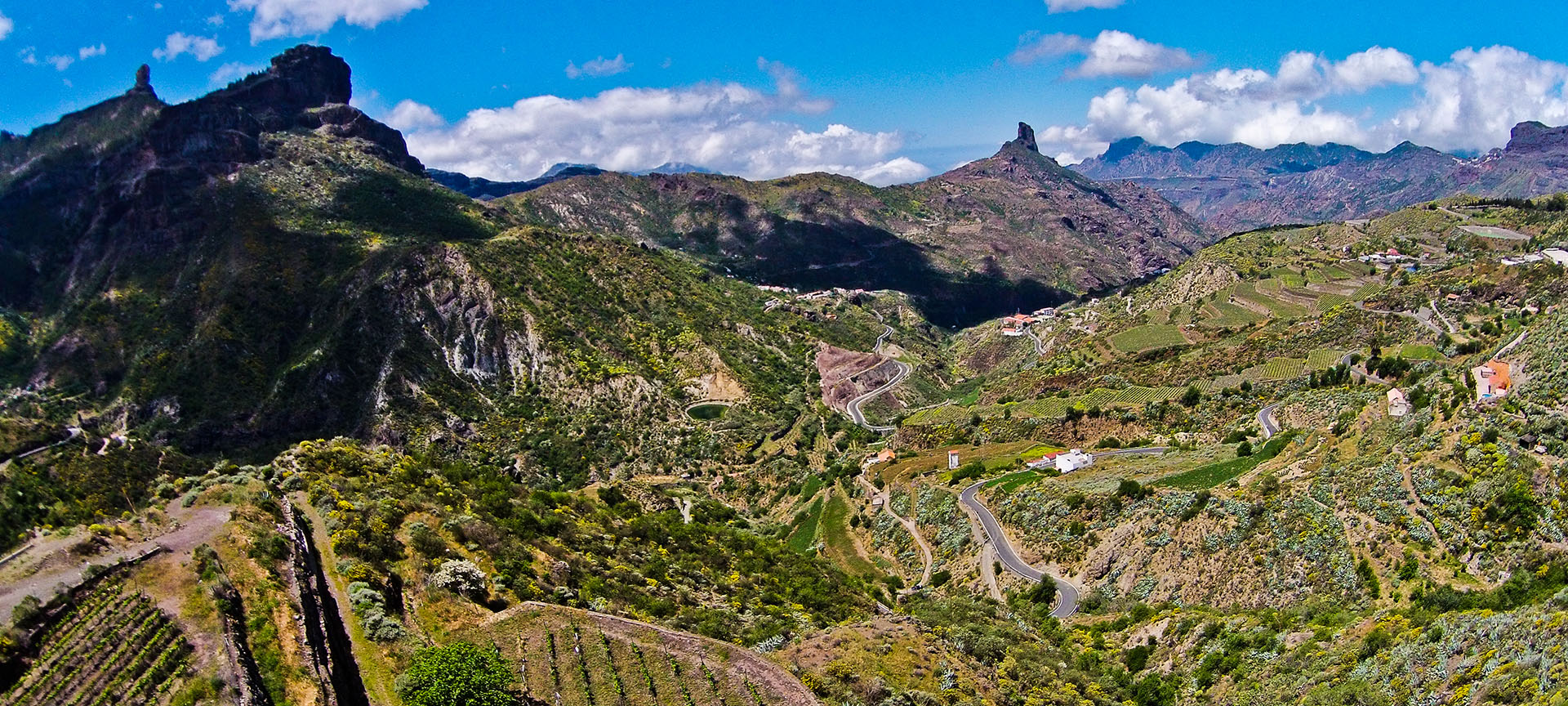 Route du vin de Grande Canarie