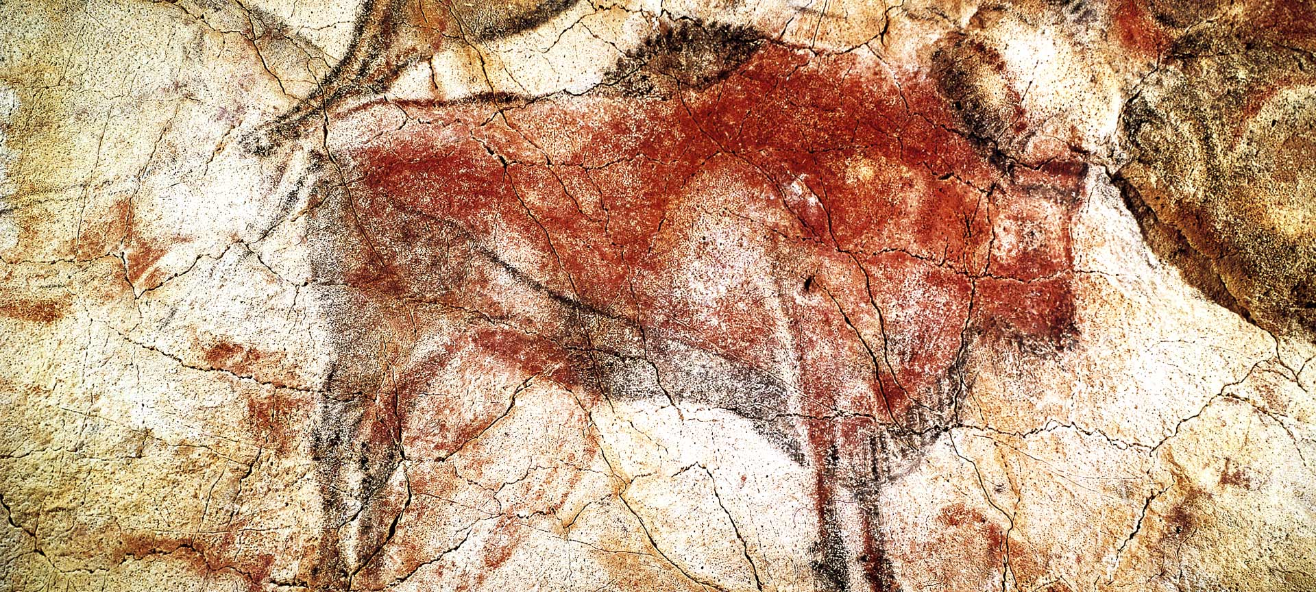 Detail of the Altamira caves in Santillana del Mar, (Cantabria)