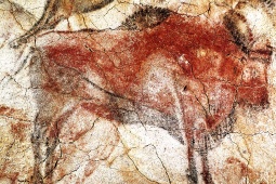 Detailansicht der Altamira-Höhle in Santillana del Mar (Kantabrien)
