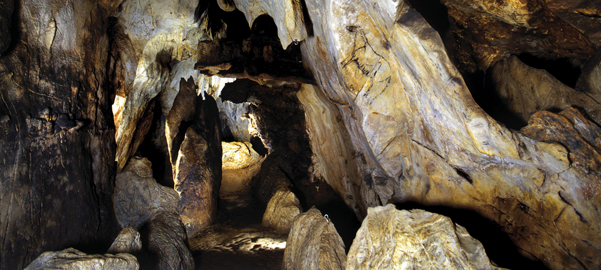Cueva de Las Monedas. Puente Viesgo Cueva de Las Monedas. Puente Viesgo