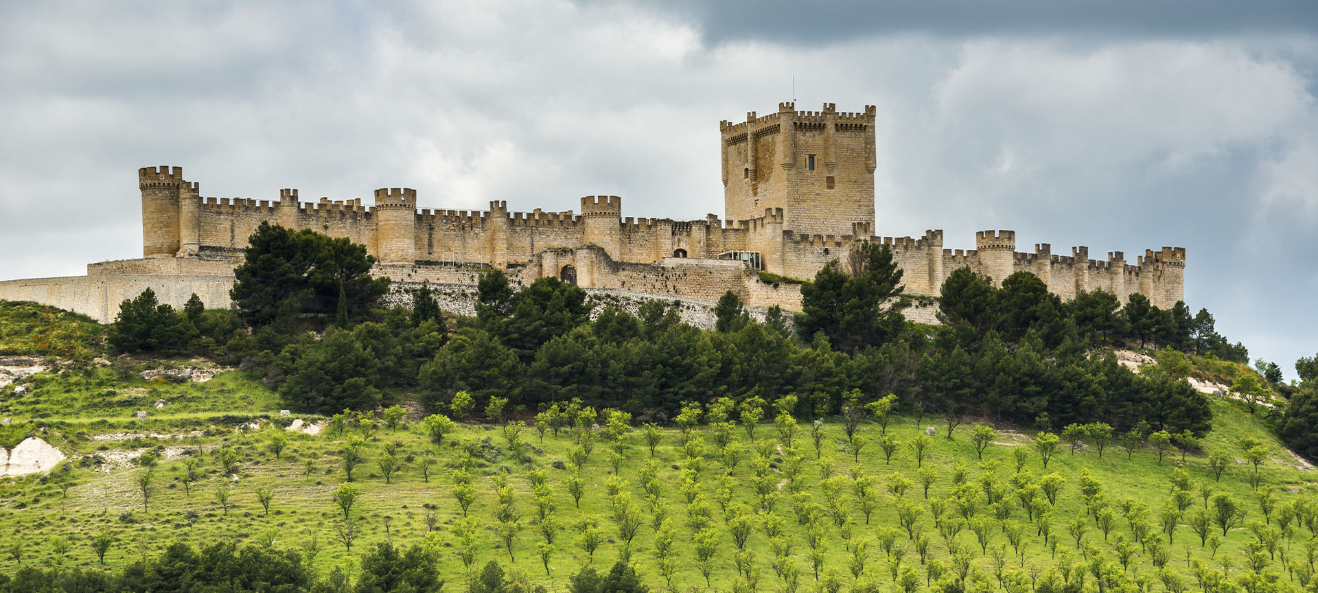 Castillo de Peñafiel. Valladolid