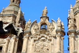A Clerezia de Salamanca, originalmente conhecida como Colégio Real da Companhia de Jesus