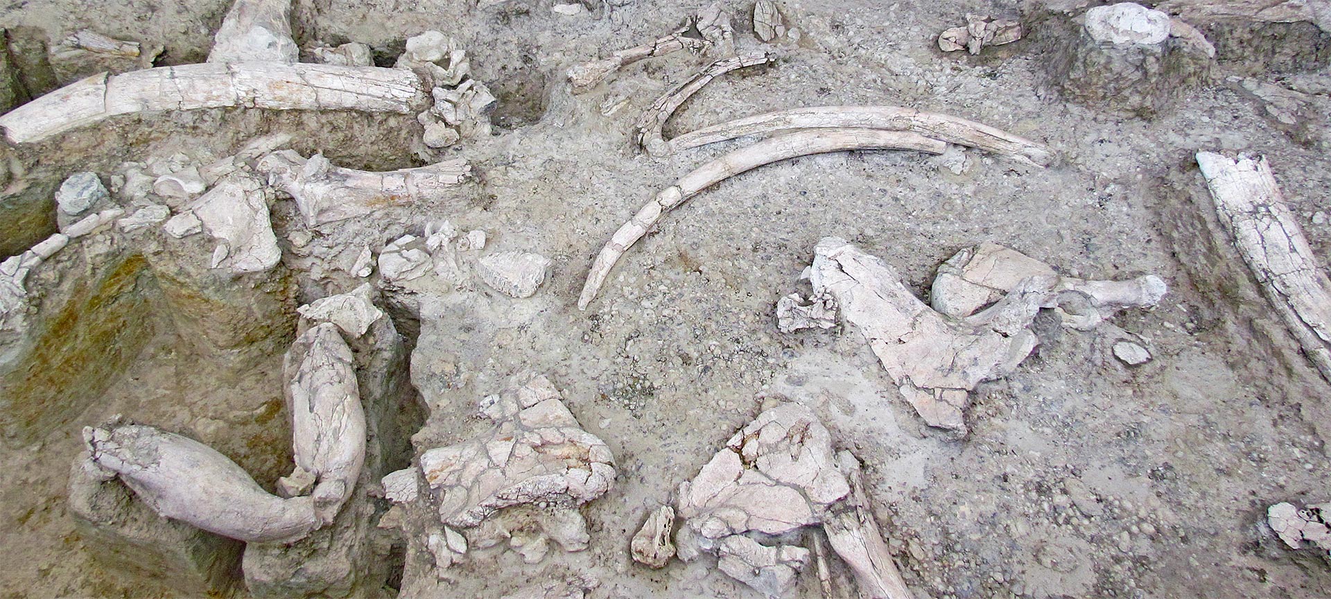 アンブロナ考古学遺跡博物館