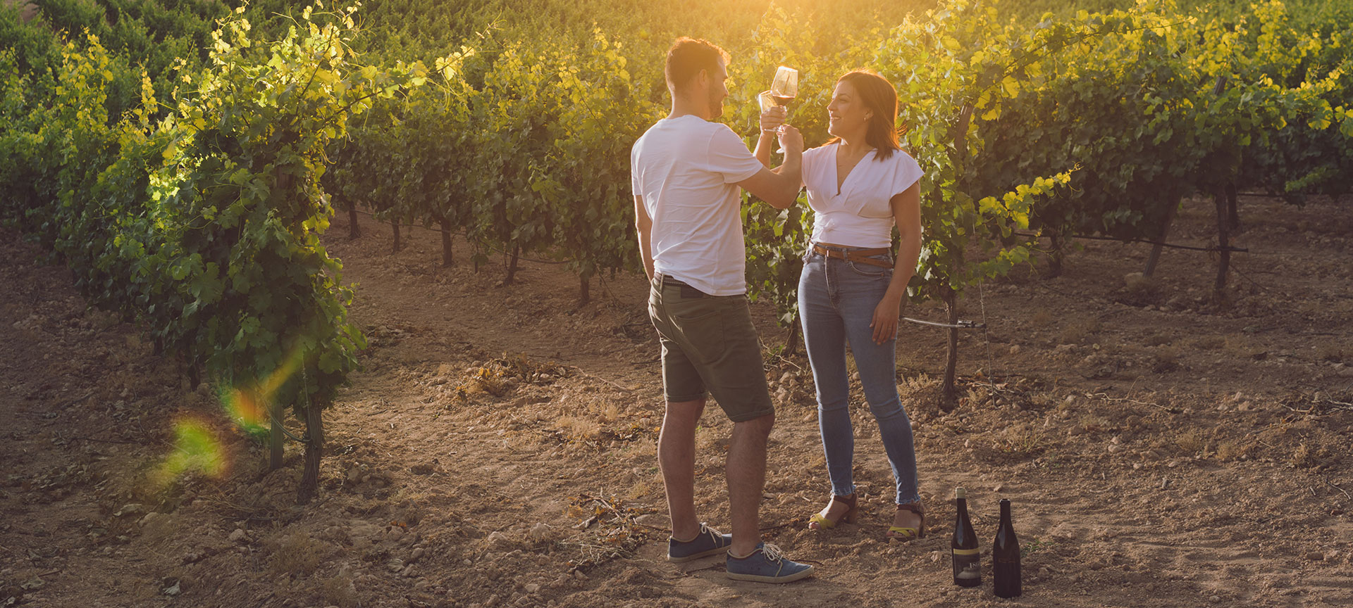 Tourists in the vineyards of the Almansa Wine Route