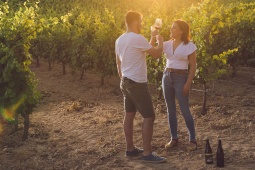 Turisti nei vigneti della Strada del Vino di Almansa