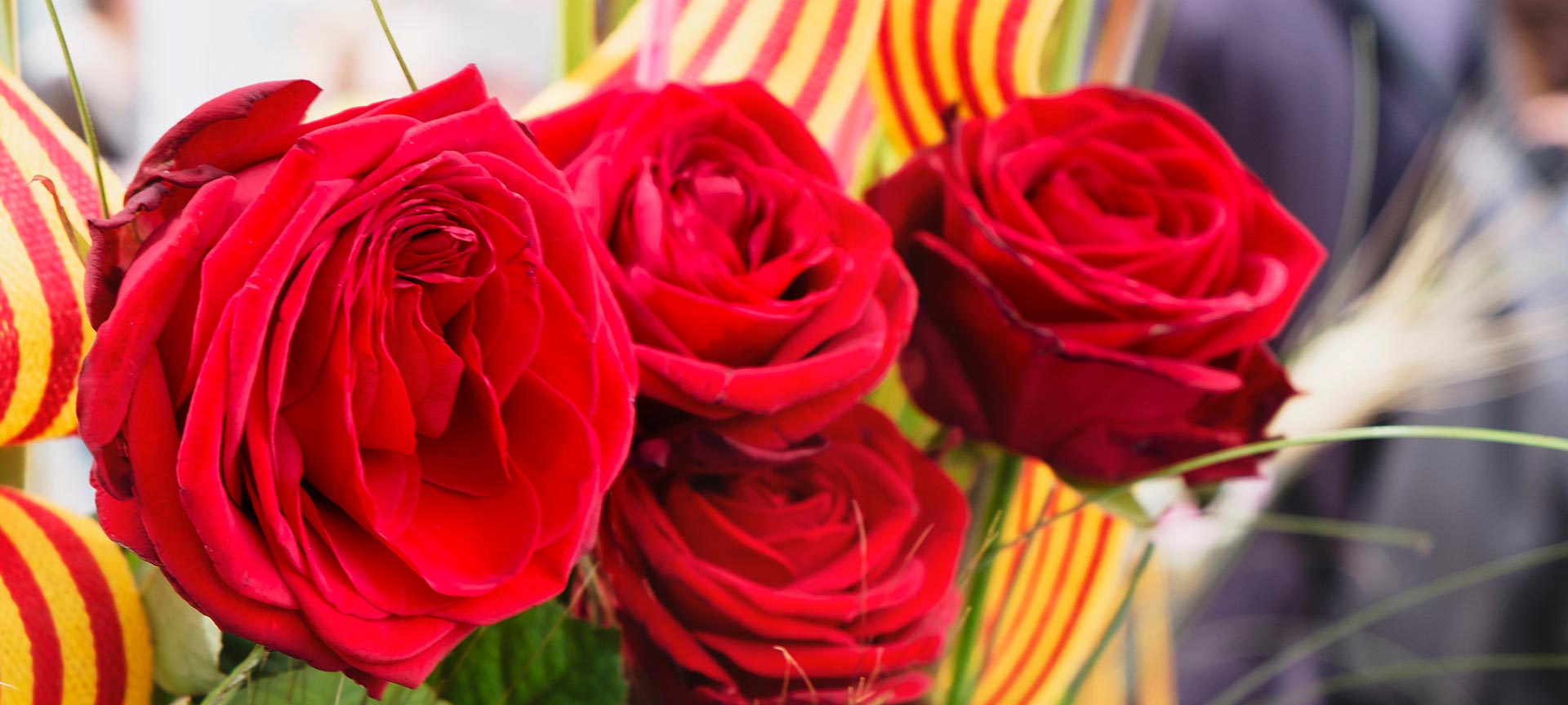 Bouquet of roses on Sant Jordi day. Barcelona Bouquet of roses on Sant Jordi day. Barcelona