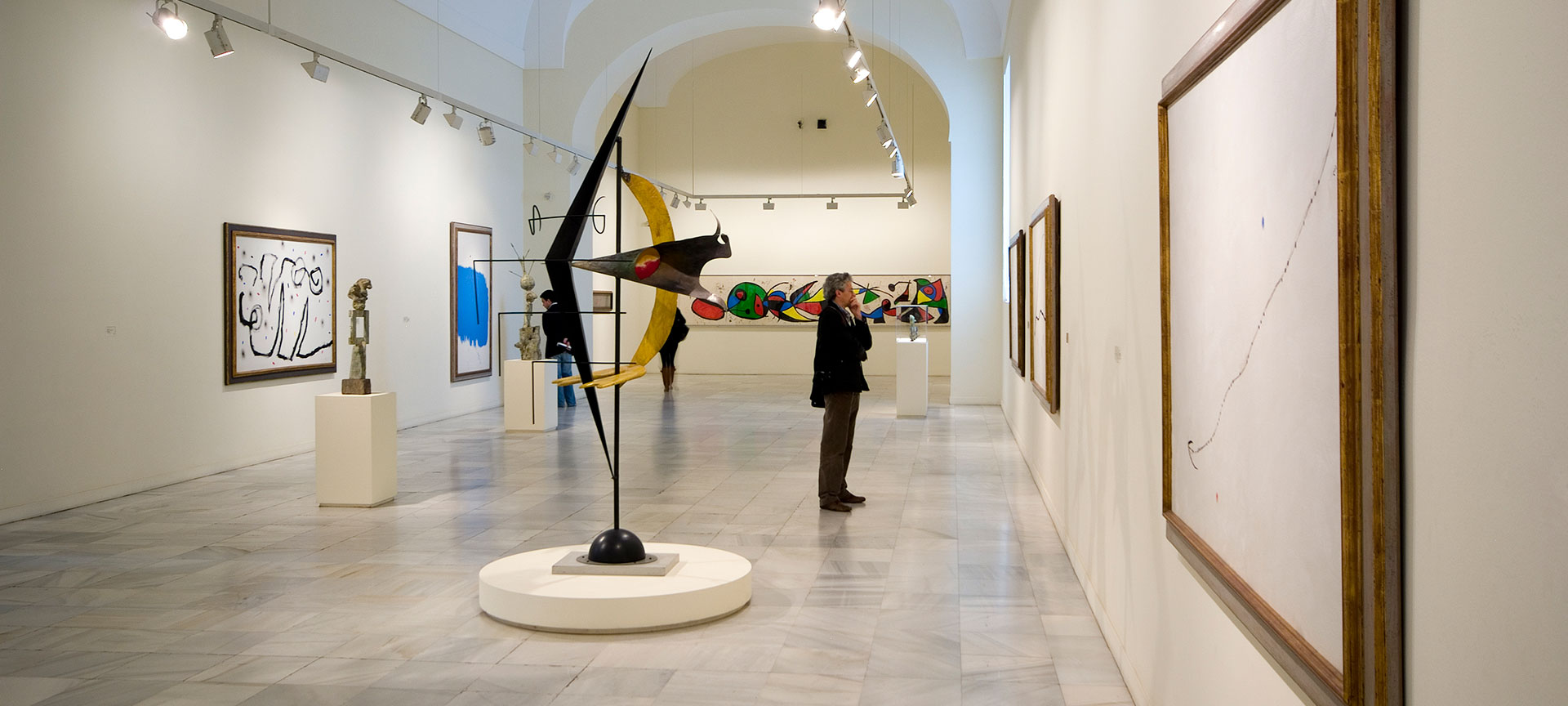 Man admiring the works at the Reina Sofía Museum, Madrid
