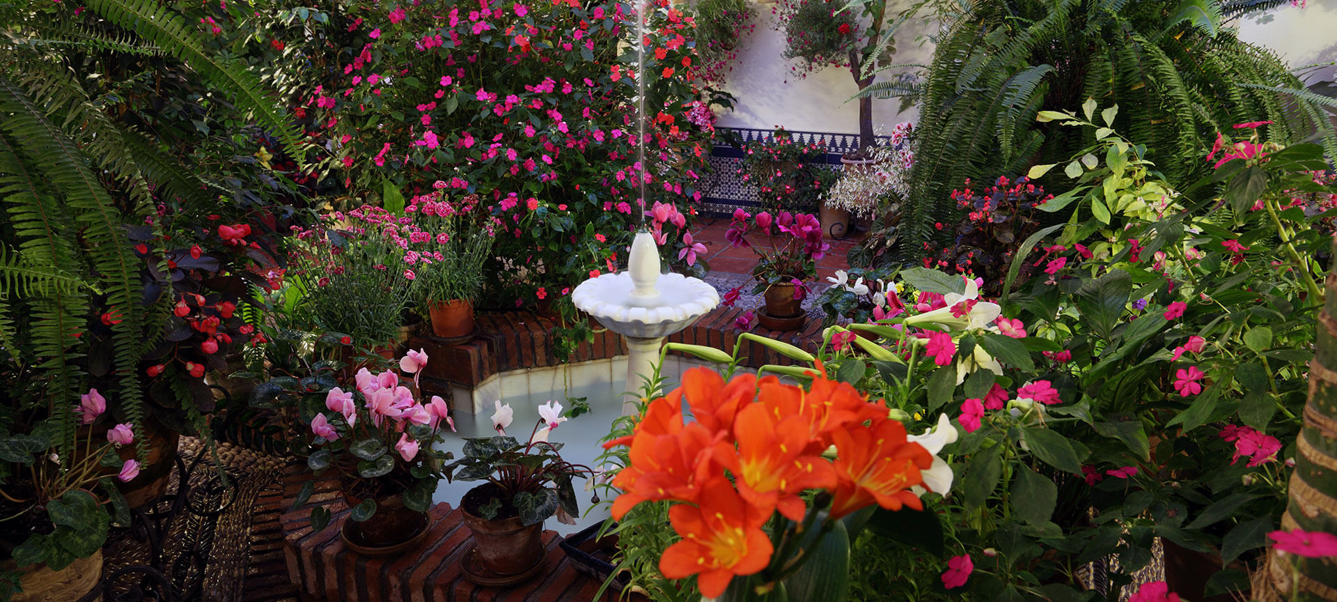 Festival of the Courtyards in Cordoba