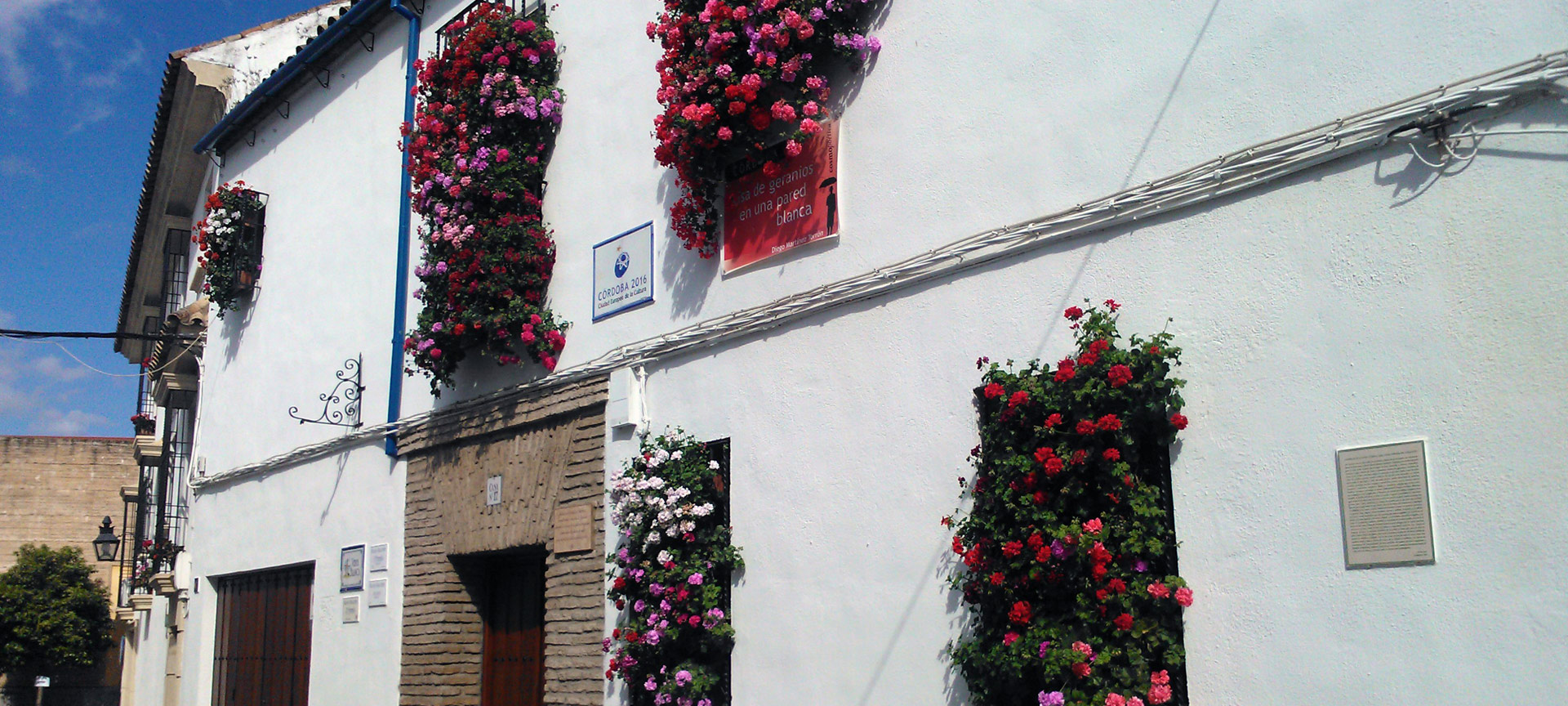 Wrought Iron Grilles and Balconies Competition in Cordoba