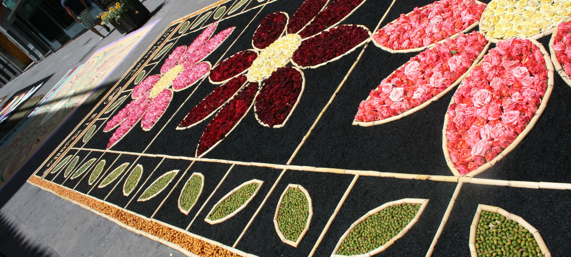 Tappeto di fiori tipica del Corpus Domini di San Cristóbal de la Laguna, a Tenerife.