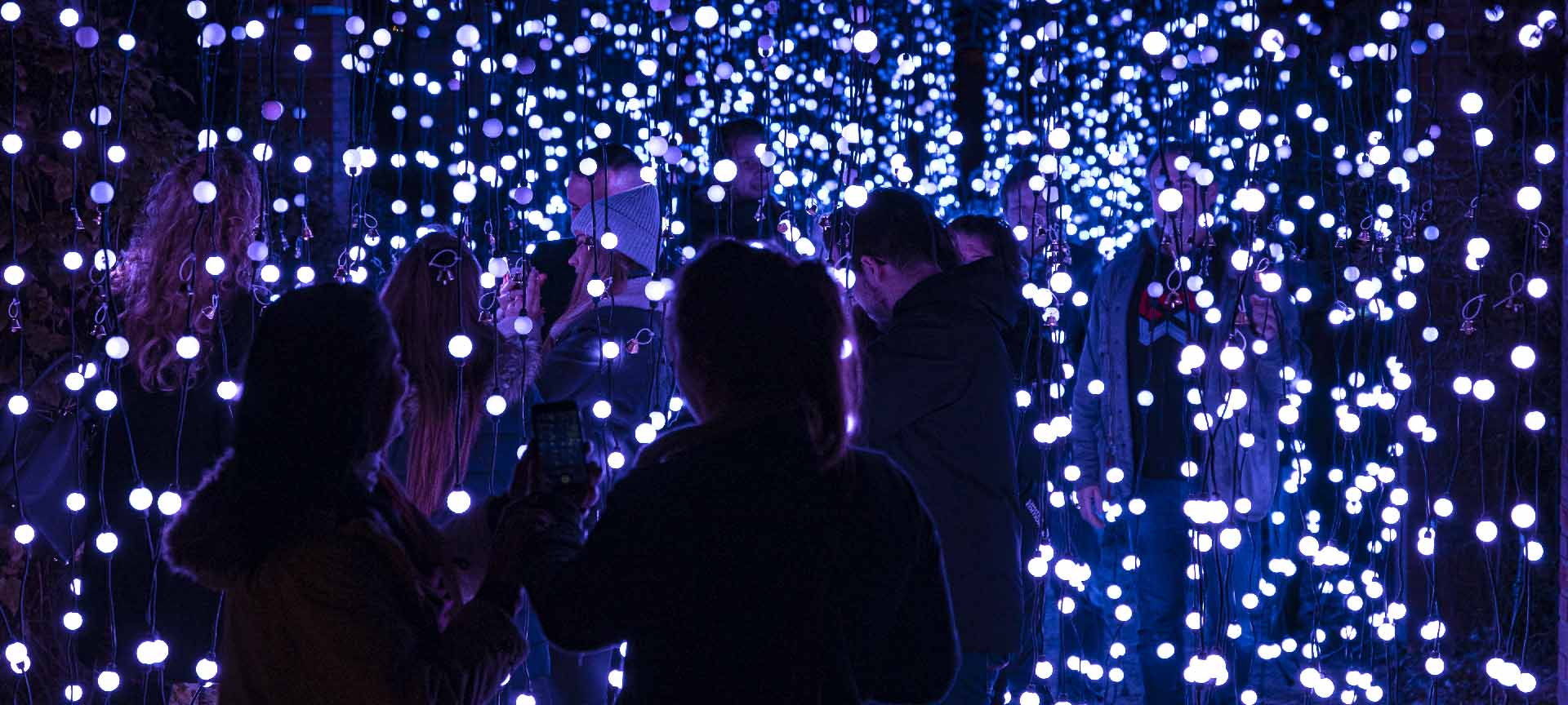 Jardin lumineux de Noël lors d’une précédente édition à Berlin