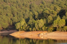 Cancho del Fresno w Cañamero, Cáceres