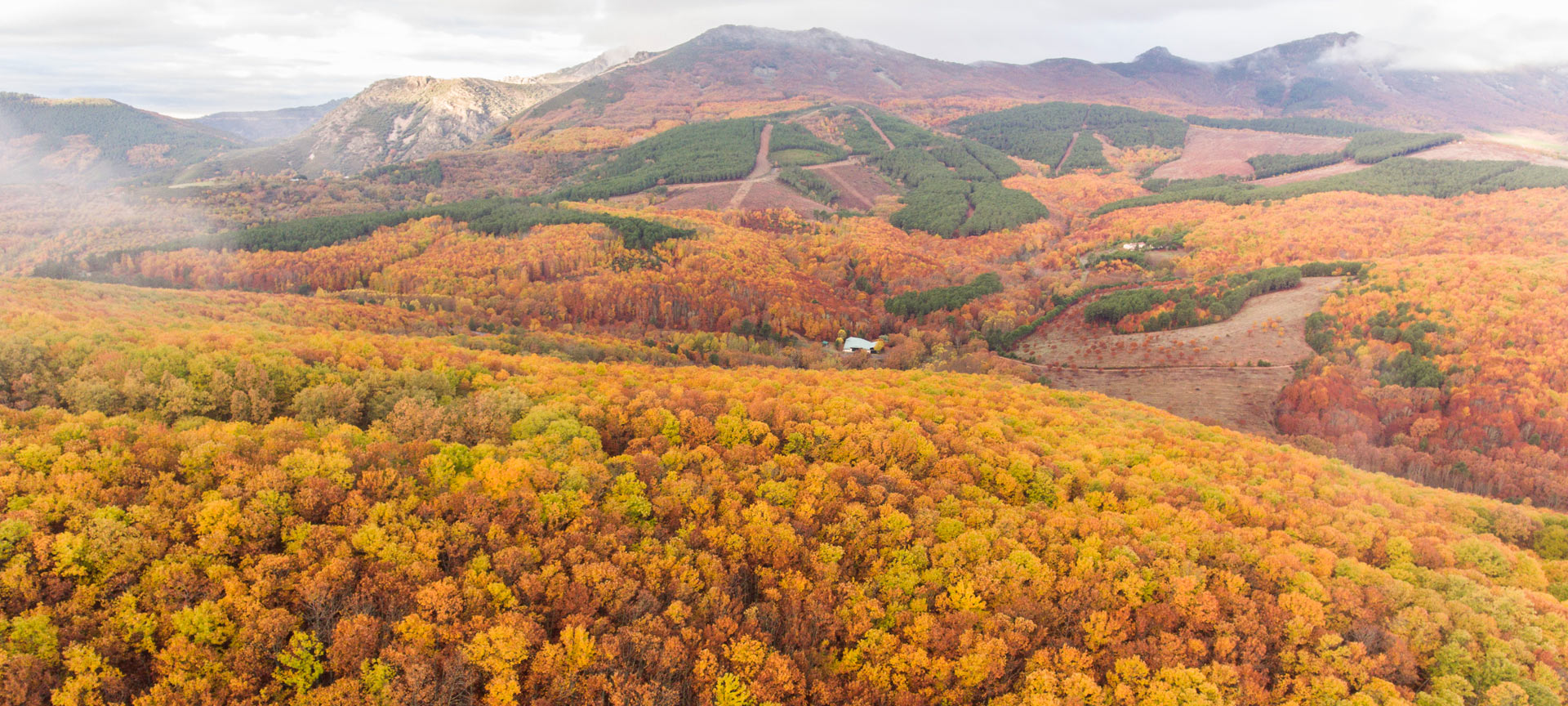 Herbst im Geopark Villuercas Ibores Jara
