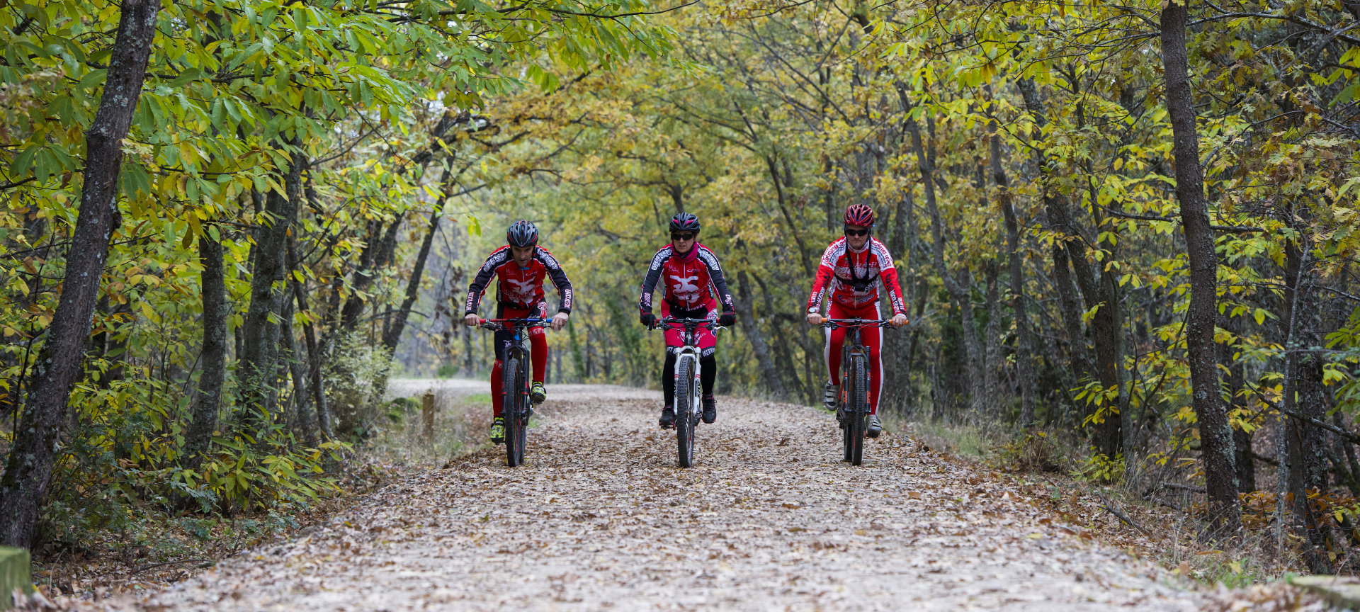 Grupa rowerzystów na szlaku Via Verde Ruta de la Plata w Cáceres