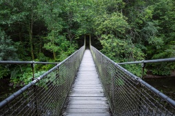 Suspension bridge in the Fragas do Eume Natural Park in A Coruña, Galicia