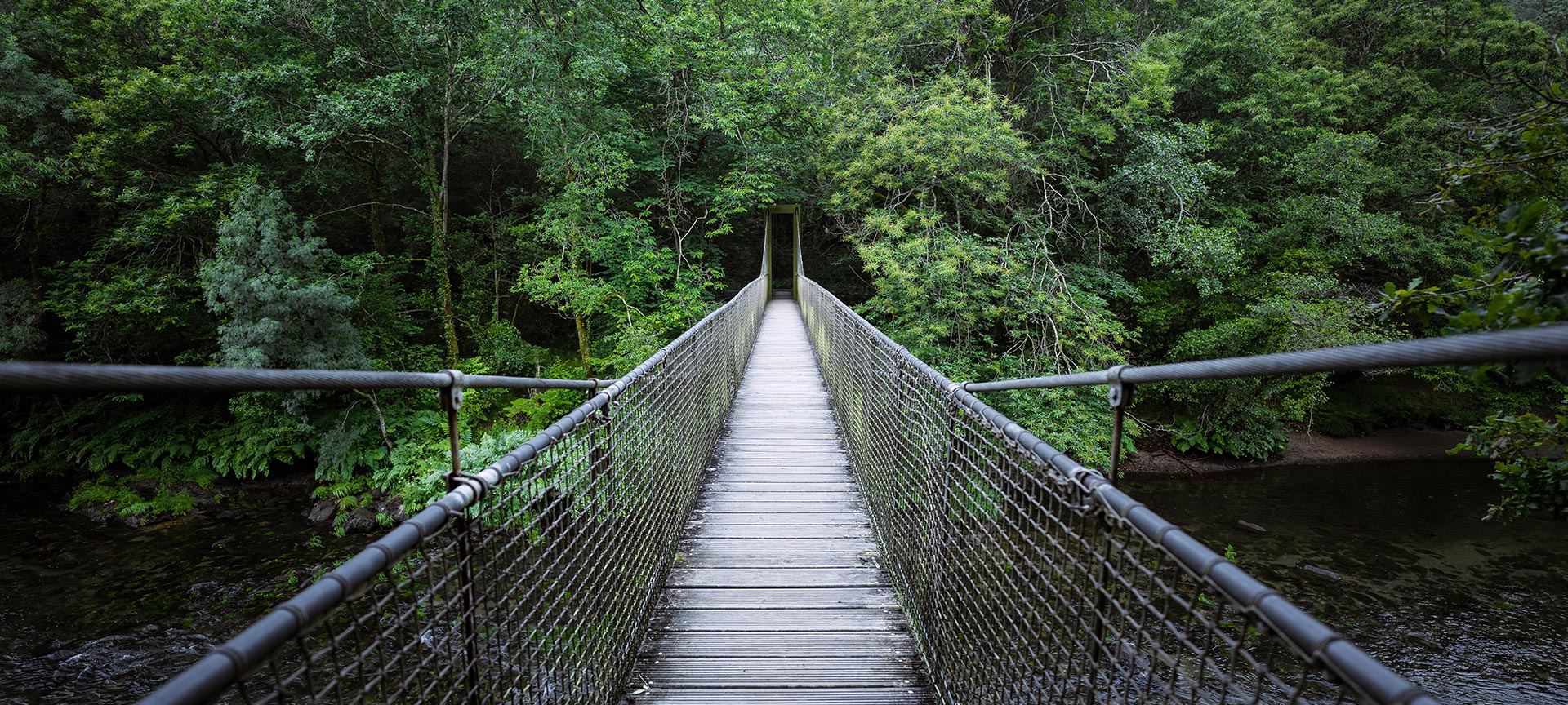  Pont suspendu dans le parc naturel de Fragas do Eume à La Corogne, Galice