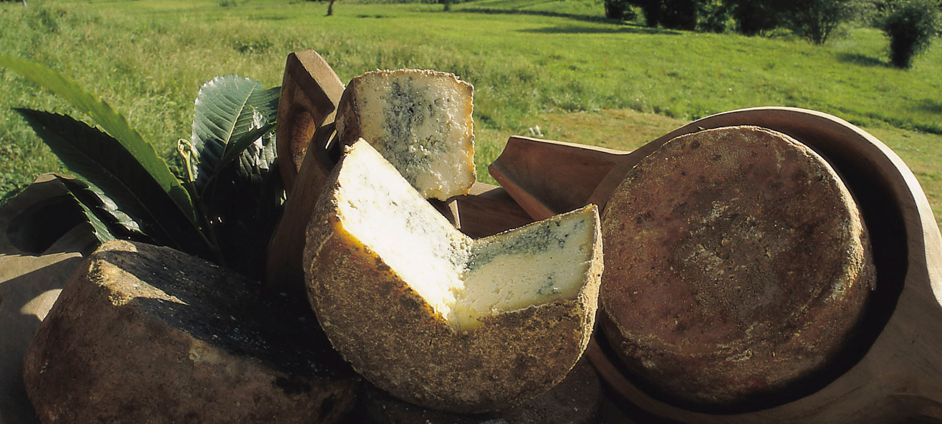 Cabrales cheese