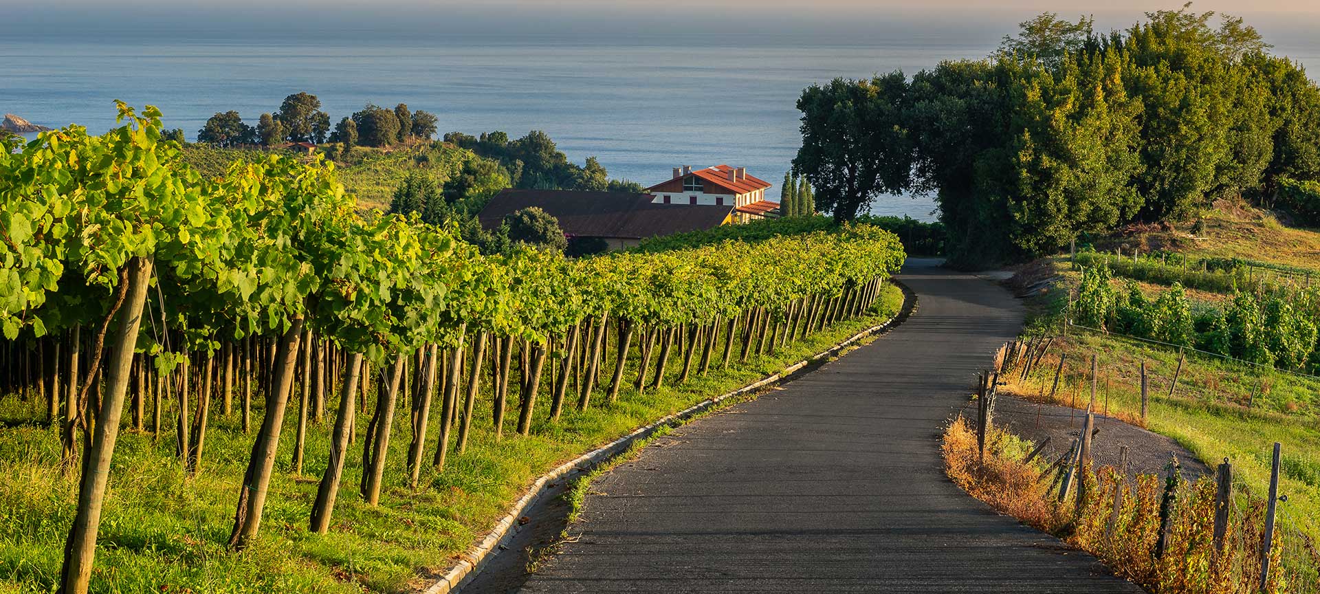 Txakoli Route, Getaria