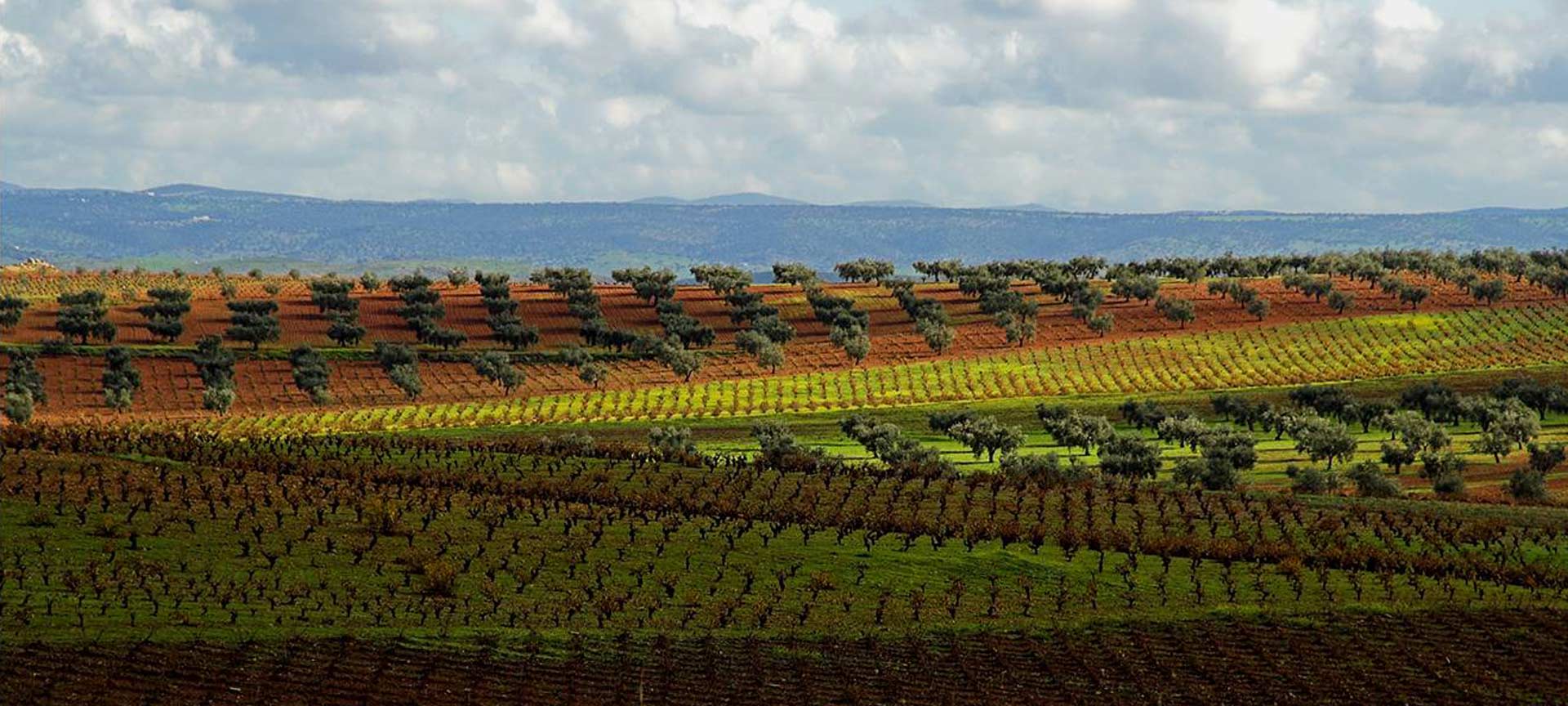 Landscape on the Ribera del Guadiana Wine and Cava Route